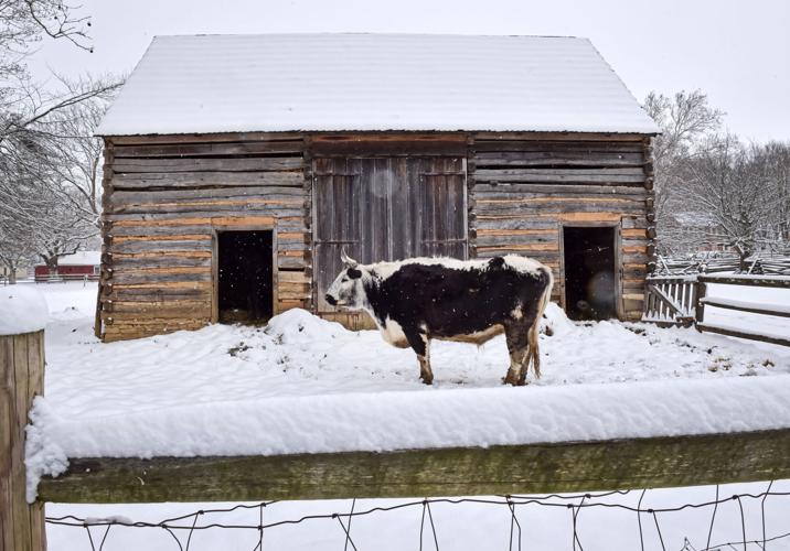 Landis Valley Village & Farm Museum