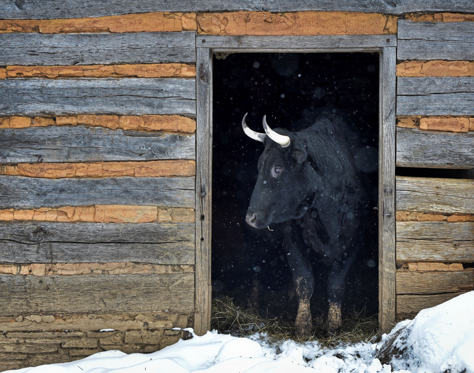 Landis Valley Village & Farm Museum