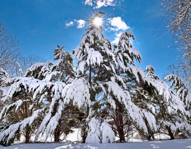 Lake Grubb Nature Park