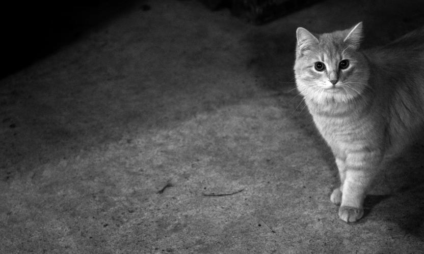 Through the Viewfinder 121819