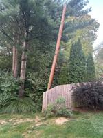 'We’ve been waiting for years': Downed pole in East Hempfield finally gets replaced [Lancaster Watchdog]