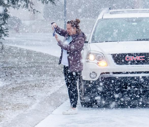 Snow Geese Manor Township